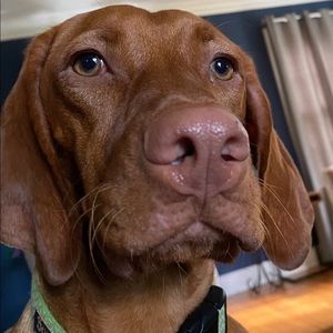 Meet your Posher, Aaron